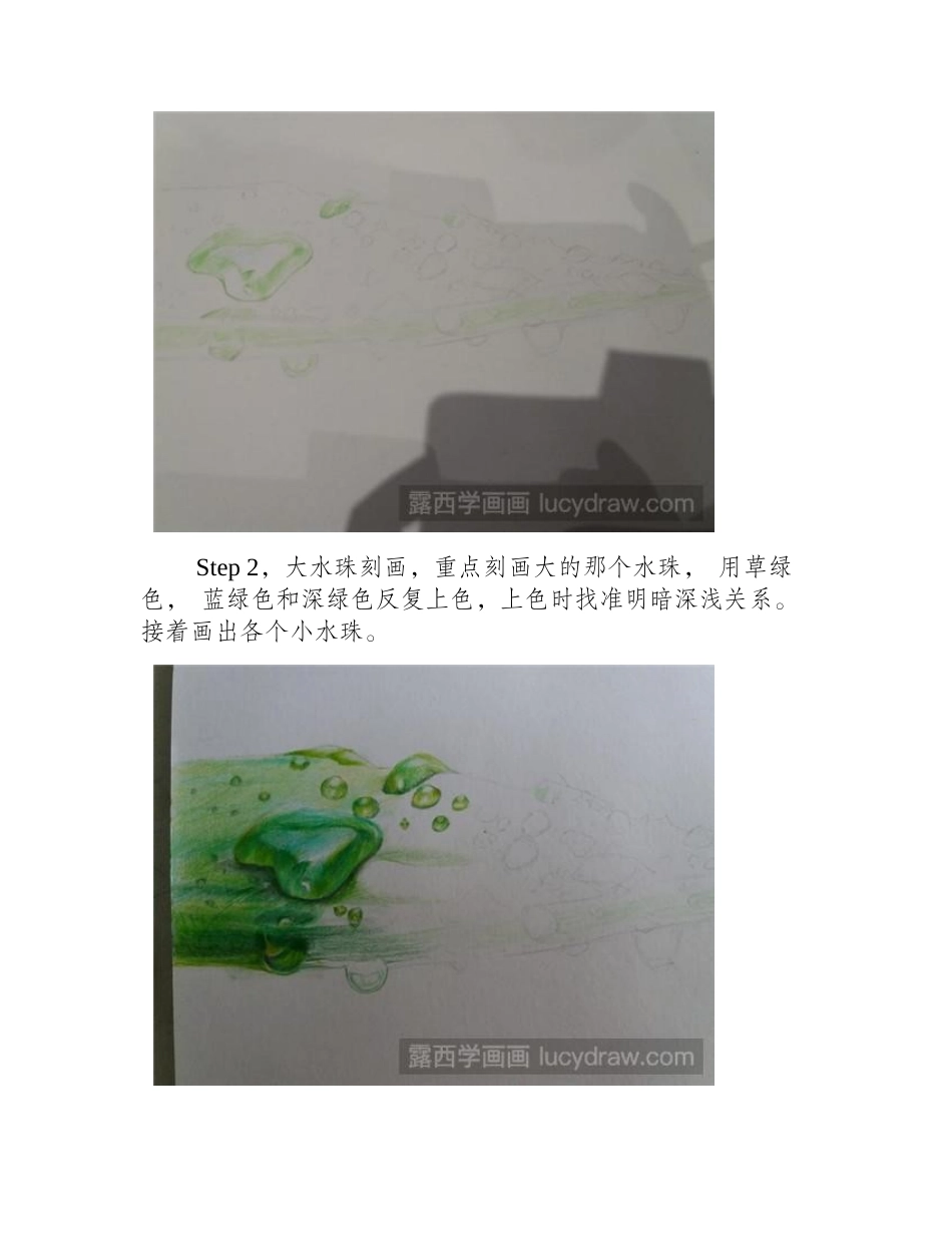 芦荟简单画法彩铅画教程_第2页