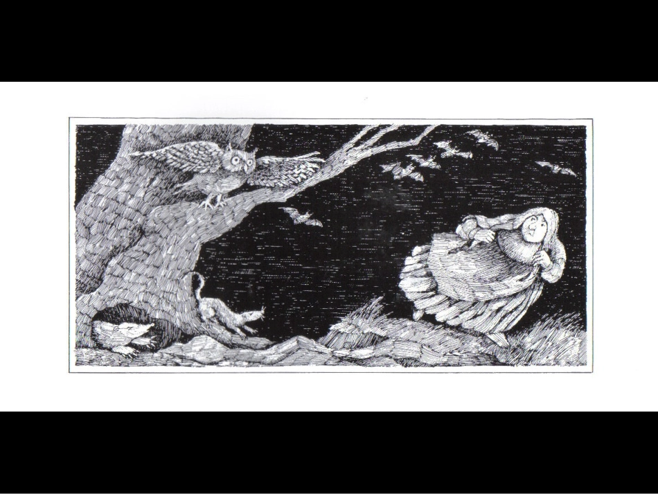 讨厌黑夜的席奶奶_第3页