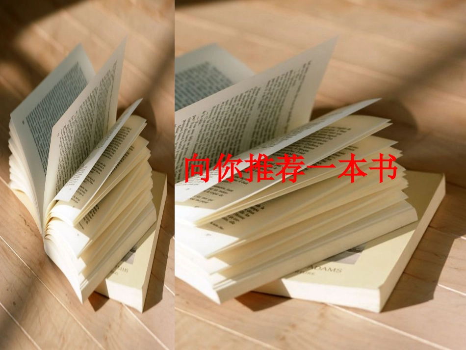 口语交际《推荐一本好书》_第3页