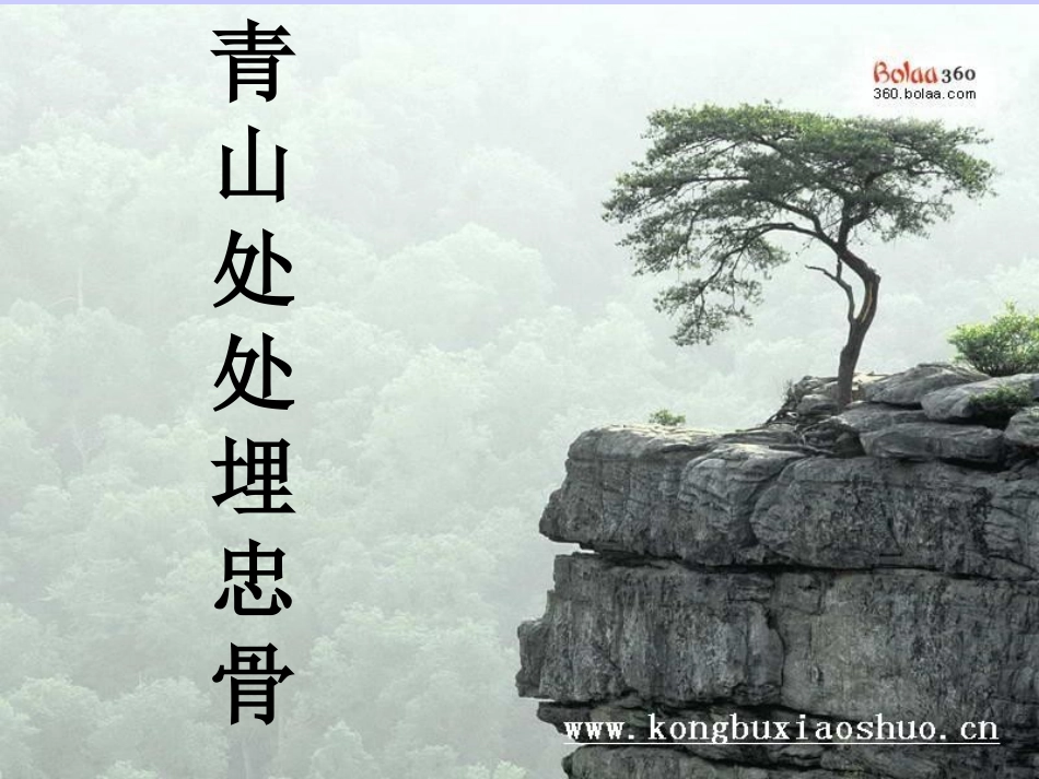 讲课稿27课《青山处处埋忠骨》_第1页