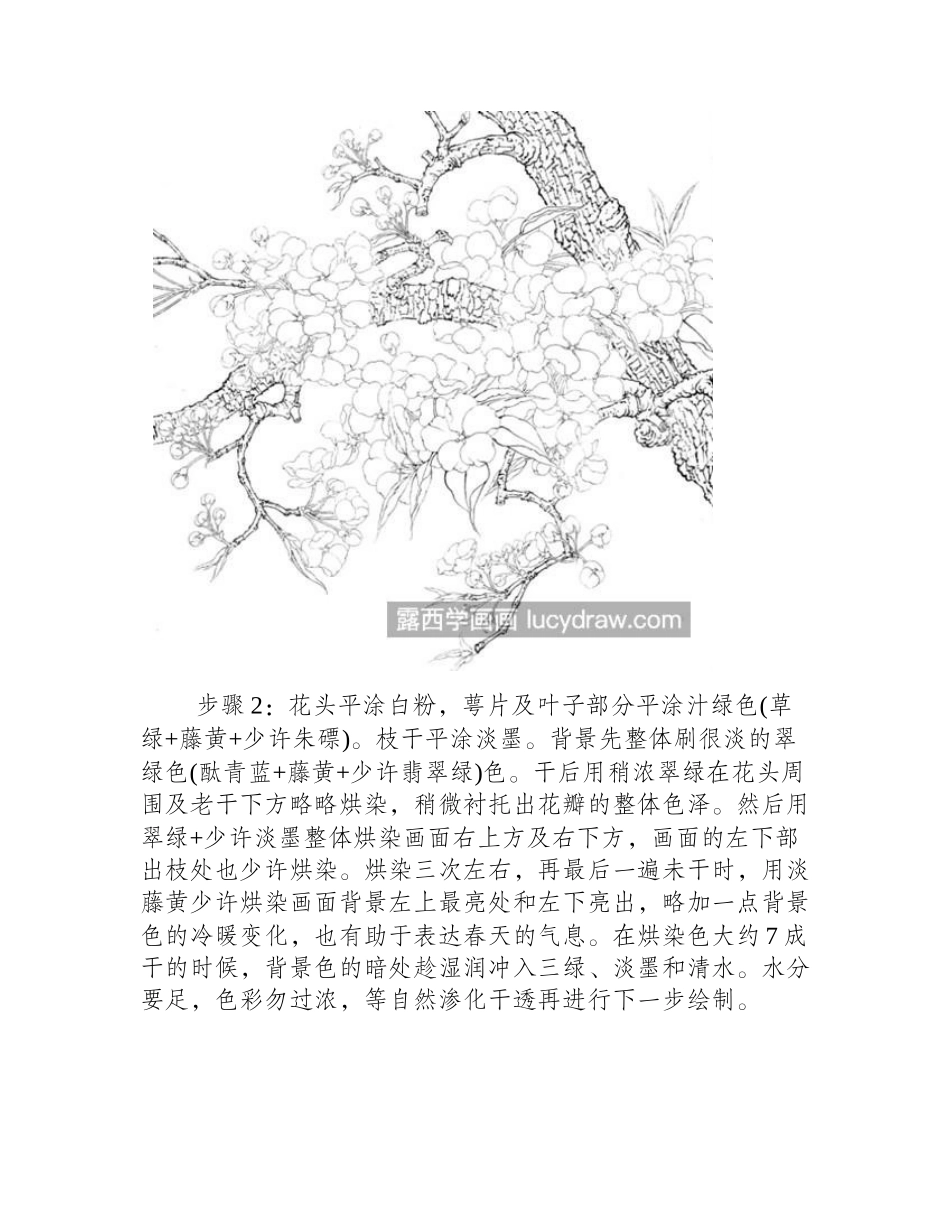 满树梨花怎么画_绘画过程是什么_工笔画教程_第2页