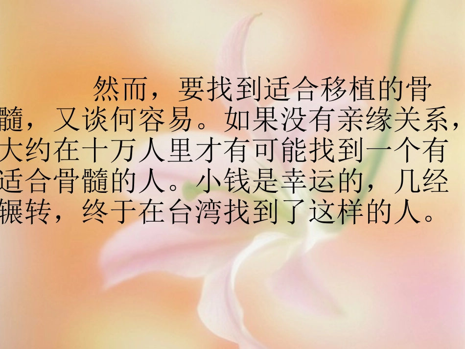 跨越海峡的生命桥 (5)_第3页