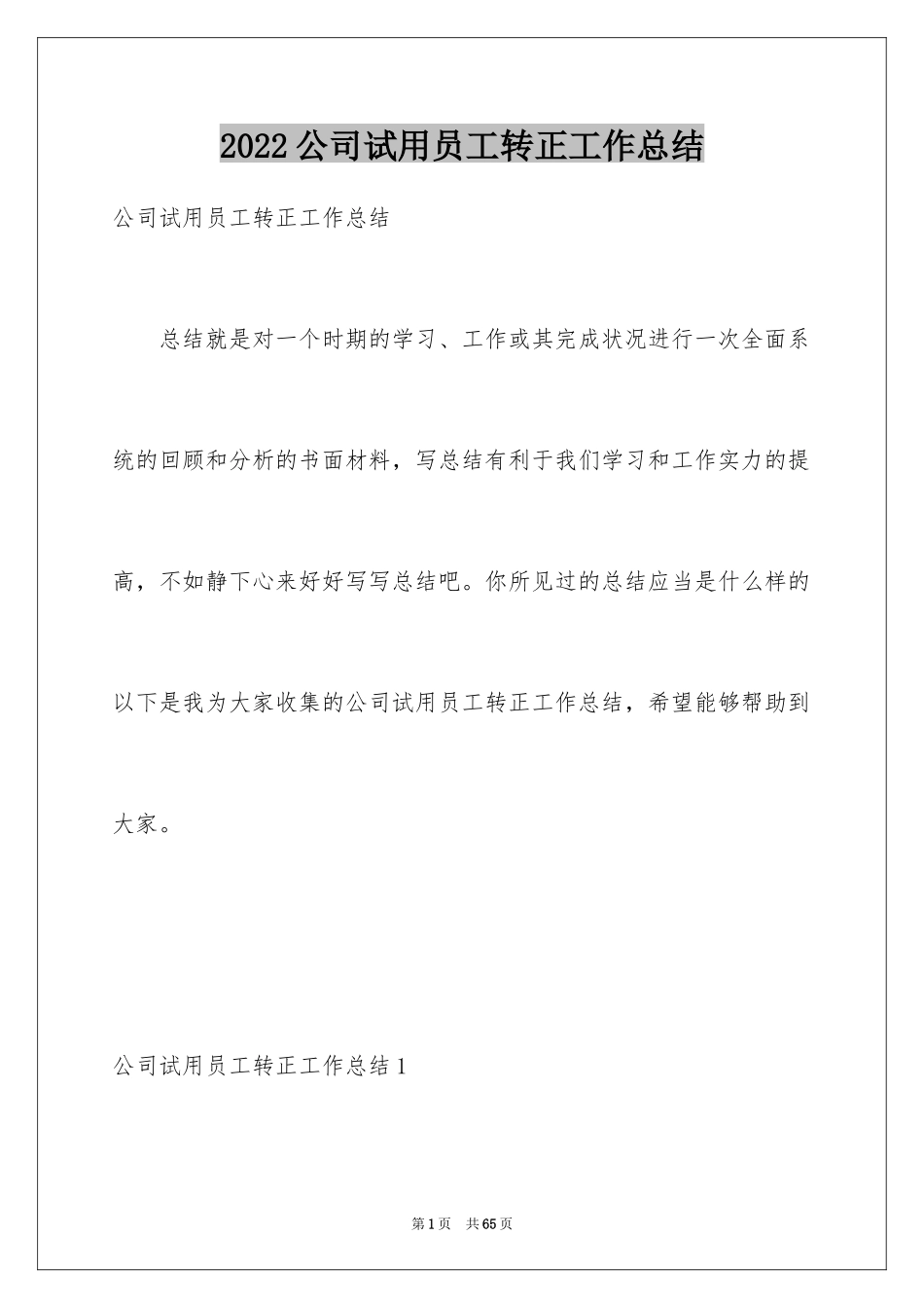 2024公司试用员工转正工作总结_1_第1页