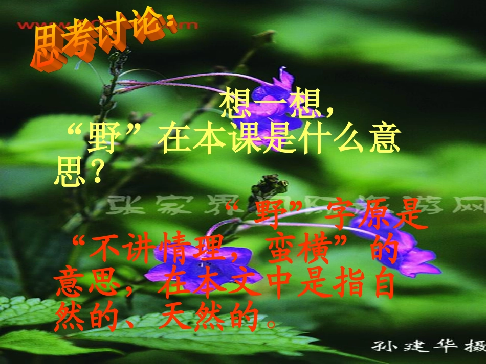索溪峪的野_优秀课件_无需修改直接用_第2页