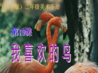 《我喜欢的鸟》课件(人美版二年级美术下册课件)