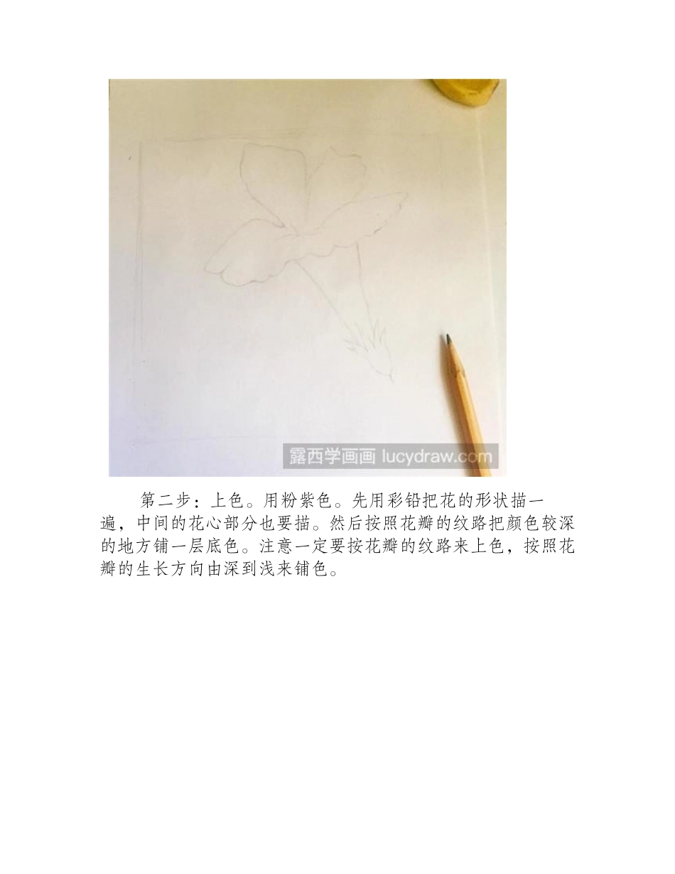茉莉花的画法步骤彩铅画教程_第2页