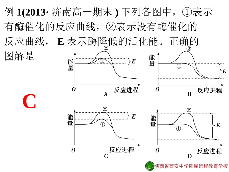 酶的相关习题-郑箫13-11-18_第2页