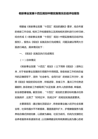 老龄事业发展十四五规划中期实施情况总结评估报告 