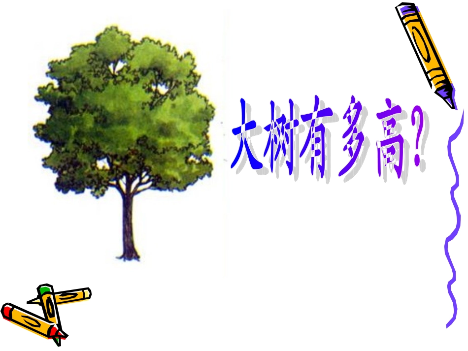 大树有多高(2)_第1页