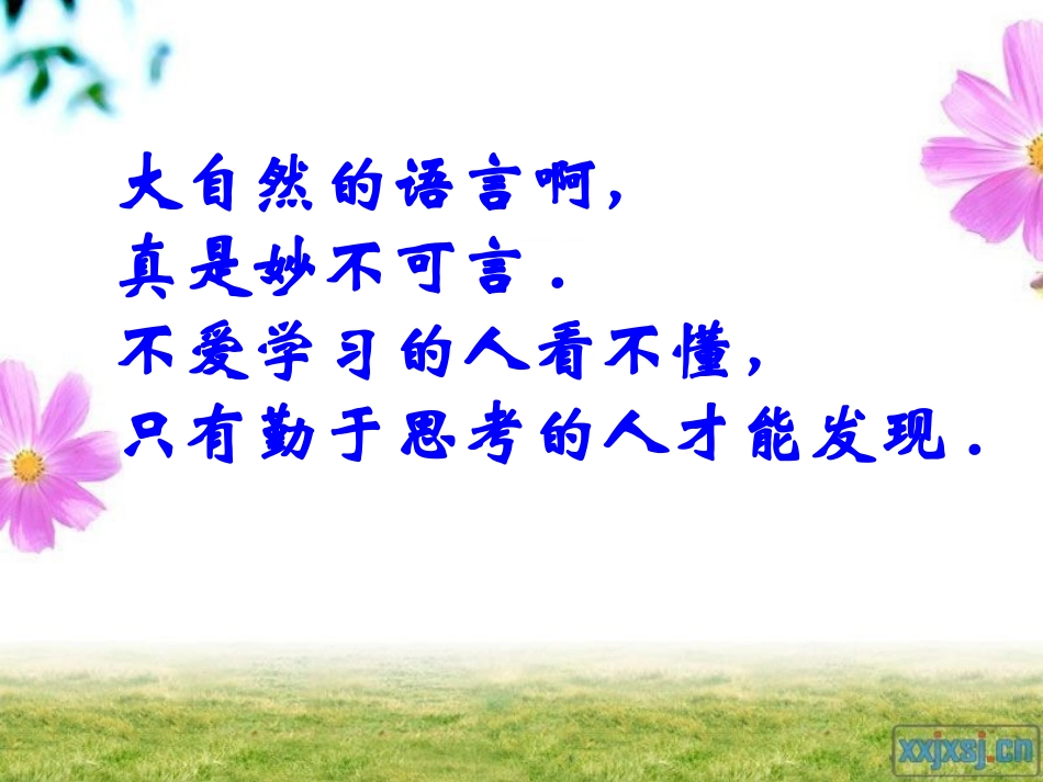 大自然的语言张金萍_第3页