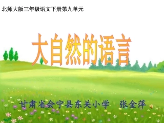 大自然的语言张金萍