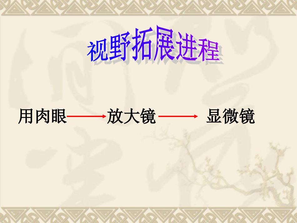 教科版小学科学六年级下册第一单元《微小世界和我们》PPT课件_第2页