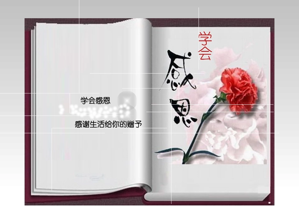 PPT感恩心行动_第3页