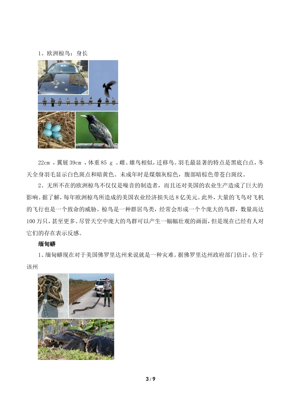 资料补充：十大臭名昭著的生物入侵者_第3页