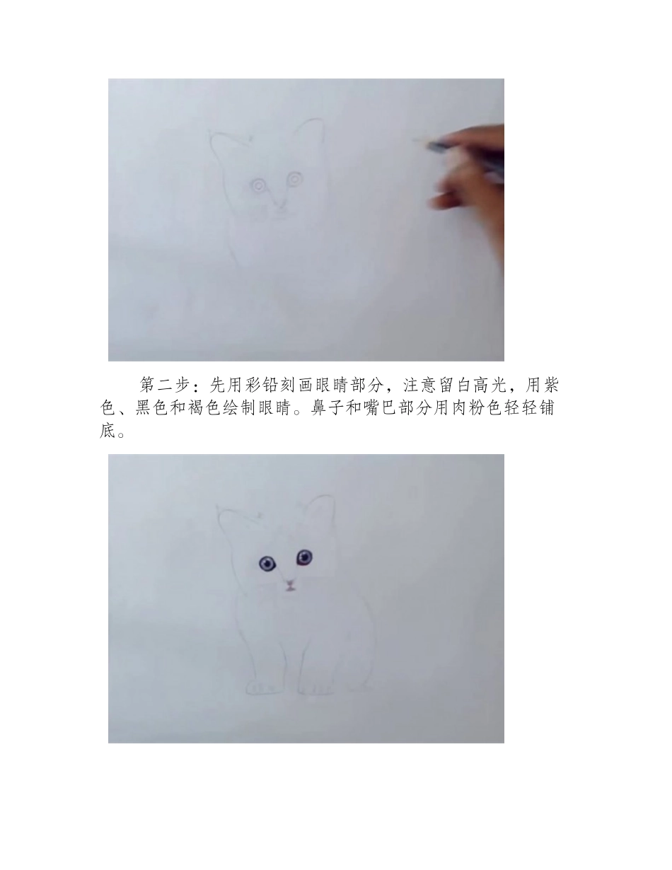 橘猫彩铅画步骤教程彩铅画教程_第2页