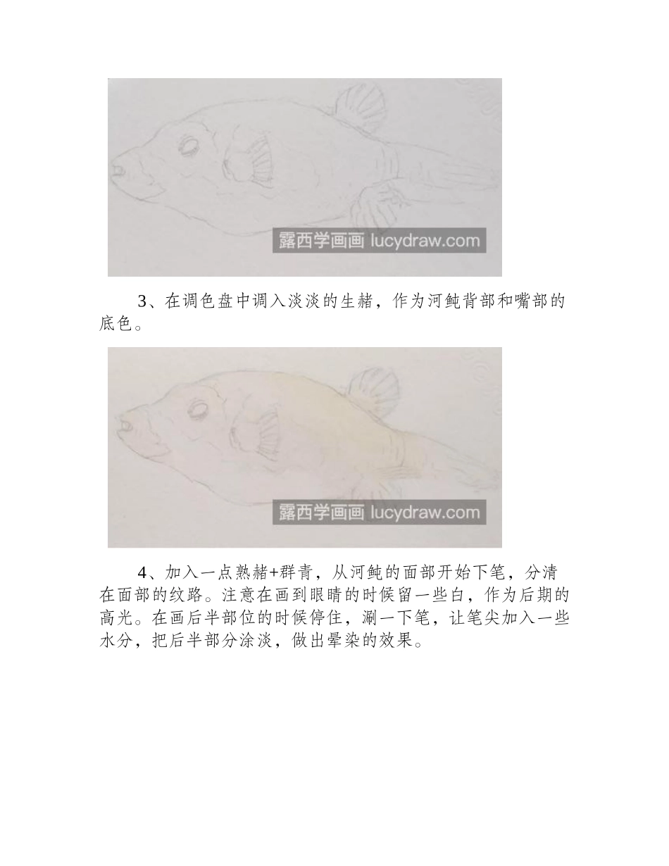 面具河豚怎么画_具体有哪些步骤_水彩画教程_第2页