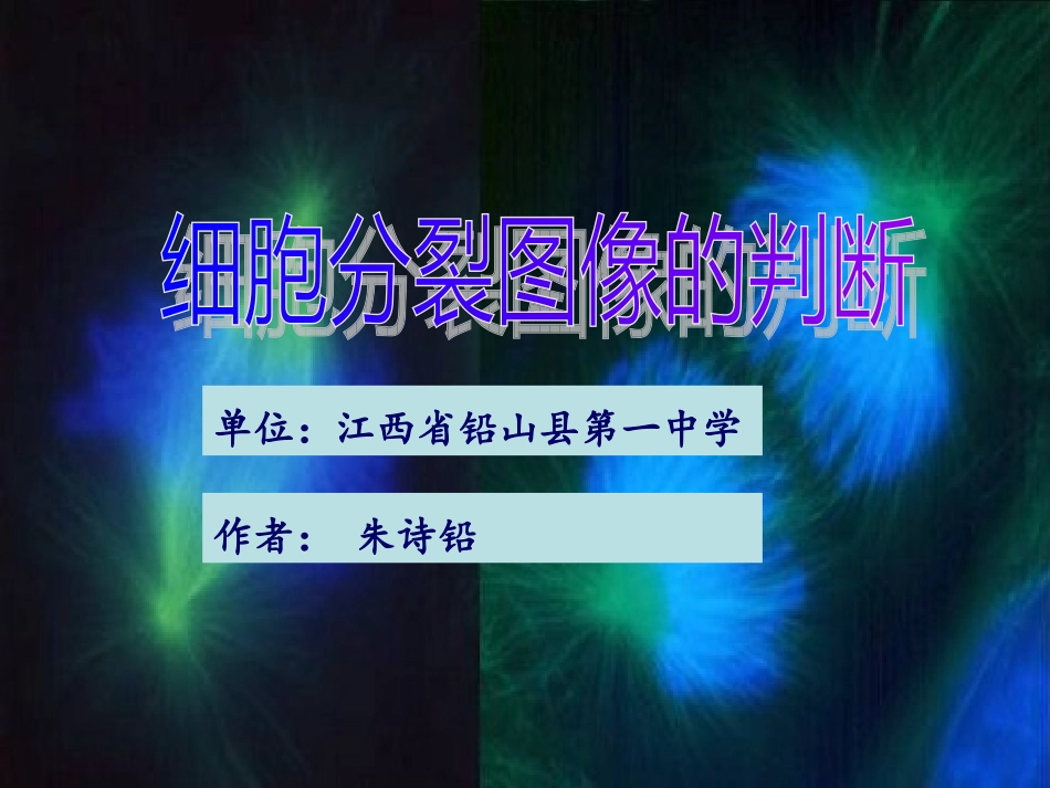 细胞分裂图像判断-朱诗铅_第1页