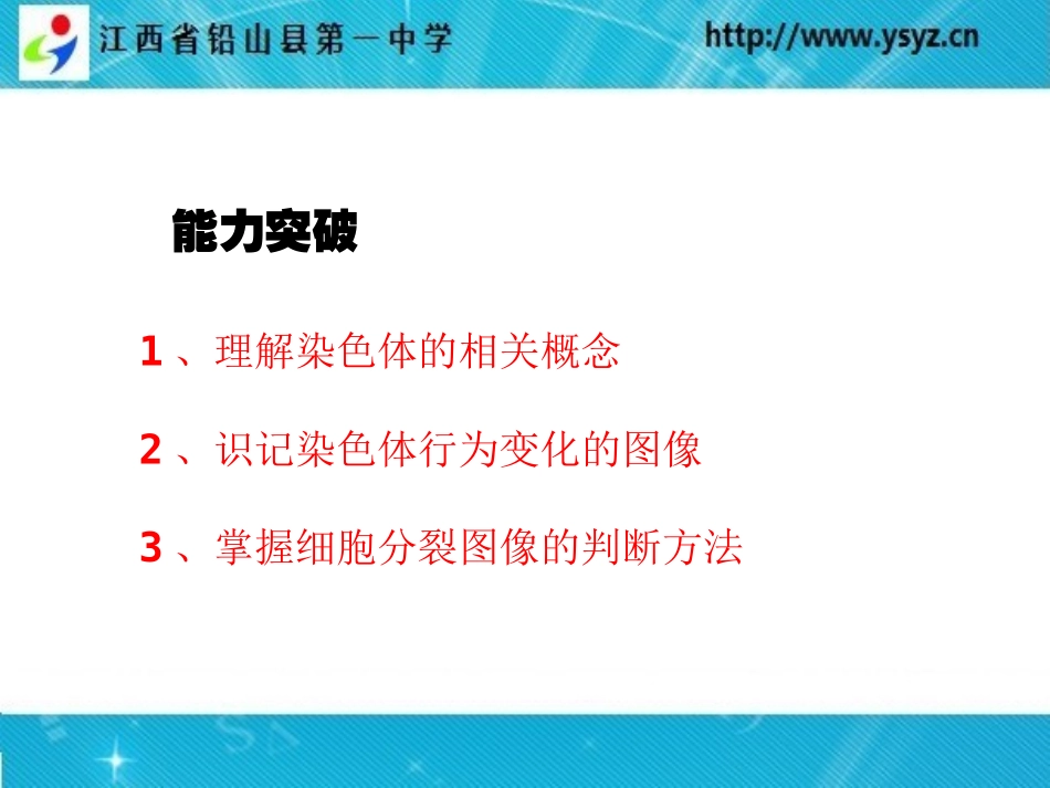 细胞分裂图像判断-朱诗铅_第2页