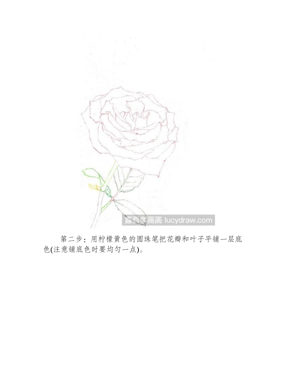 玫瑰花钢笔画教程钢笔画教程_第2页