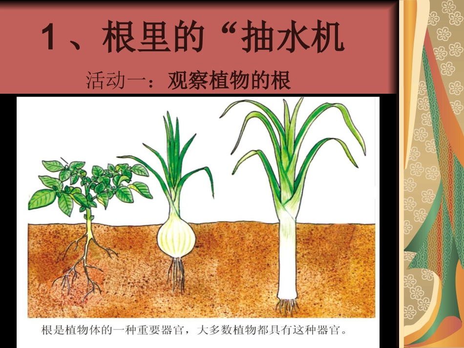 根里的抽水机_第2页