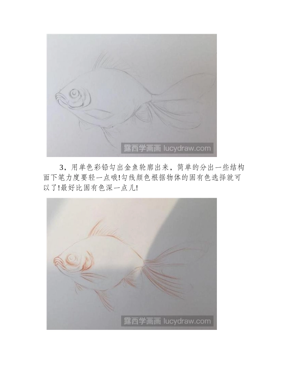 鲤鱼彩铅画教程彩铅画教程_第2页