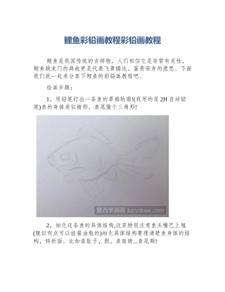 鲤鱼彩铅画教程彩铅画教程