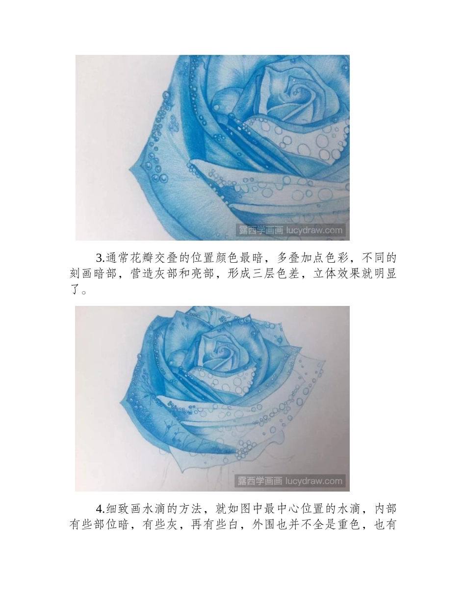 蓝色妖姬彩铅画怎么画_彩铅画教程_第2页