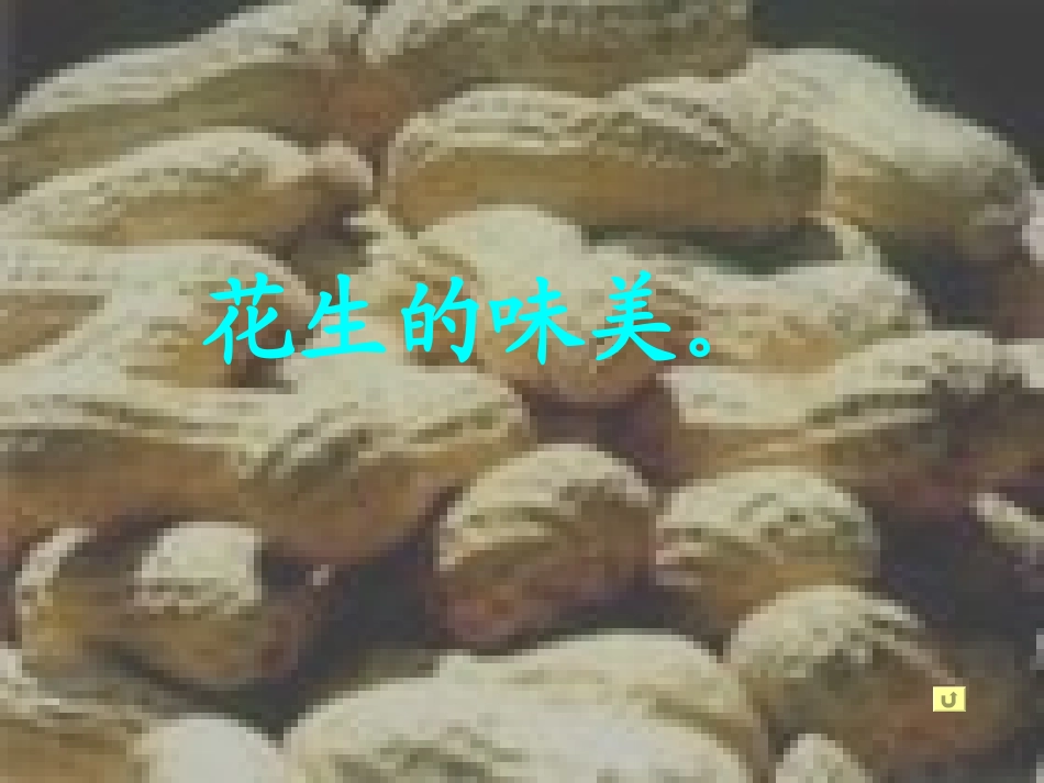 人教版五年级语文上册第四组《15落花生》PPT课件_第3页