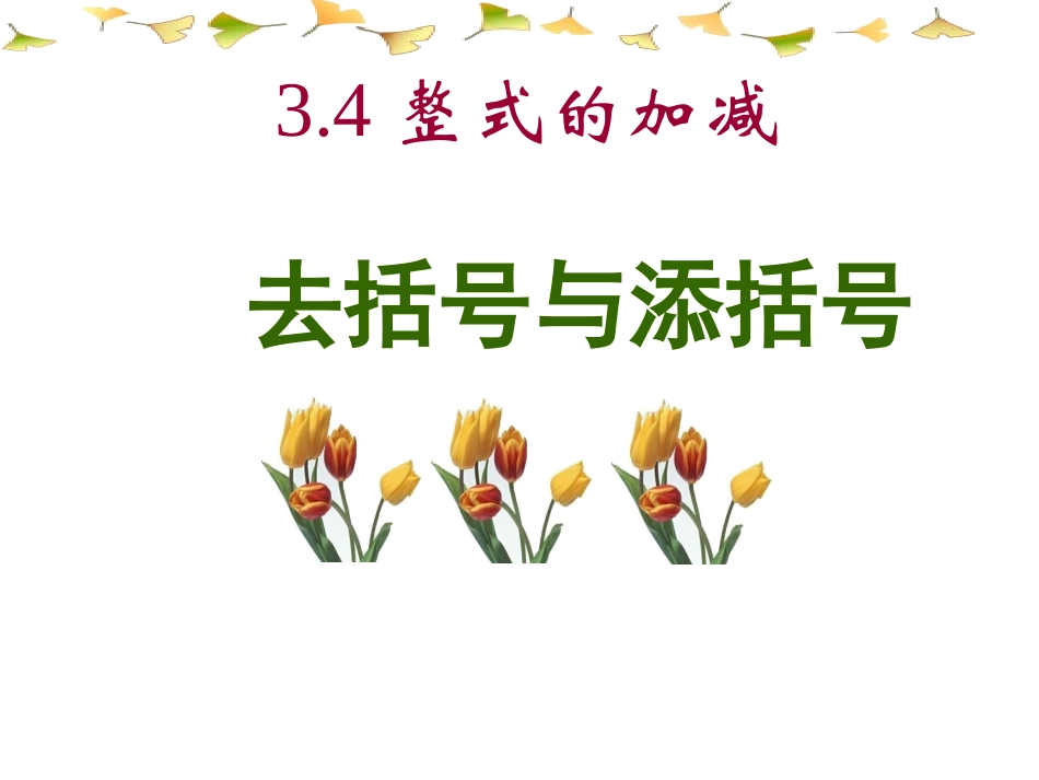 去括号与添括号_第1页