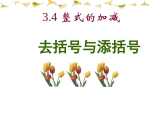 去括号与添括号