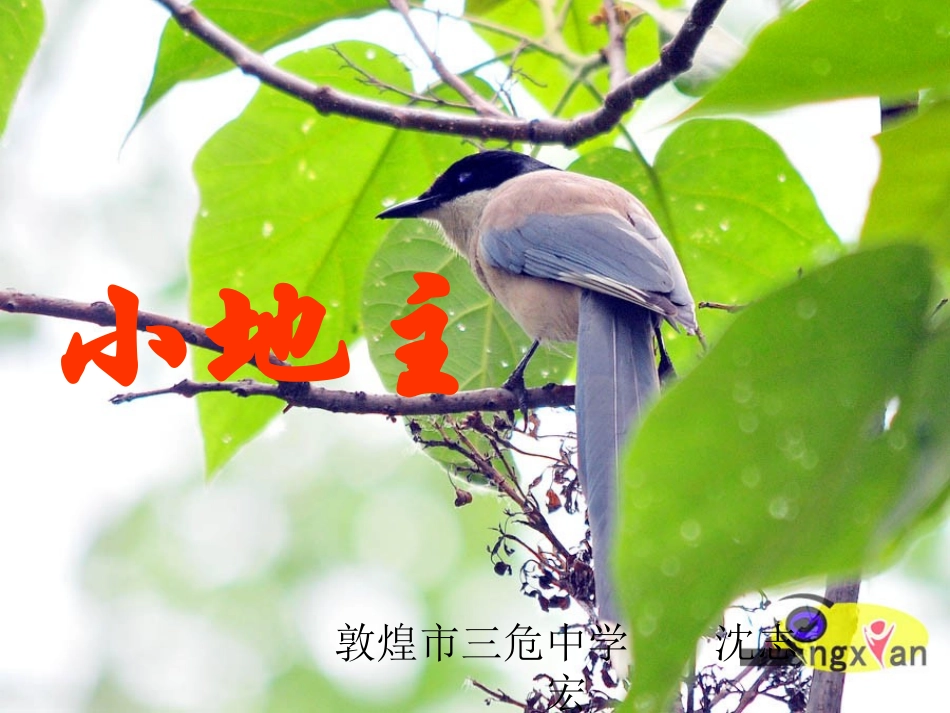 小地主PPT_第1页