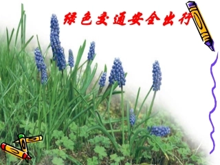 绿色交通_安全出行