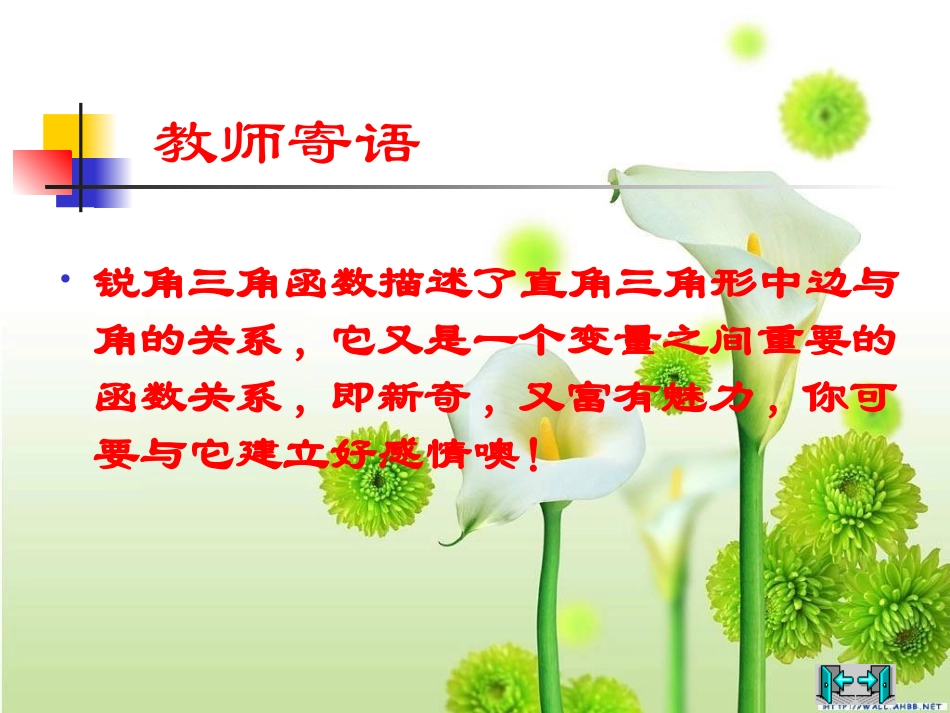 从梯子的倾斜程度谈起锐角三角函数正切与余切_第2页