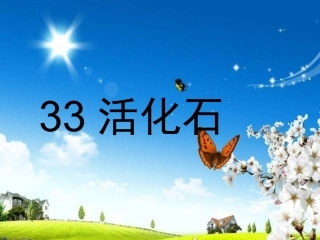 二年级33课《活化石》课件