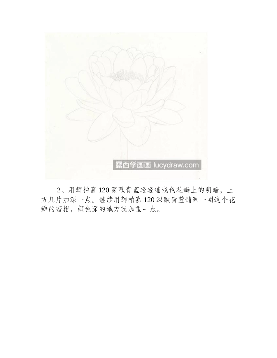 蓝莲花怎么画_有哪些彩铅绘画步骤_彩铅画教程_第2页
