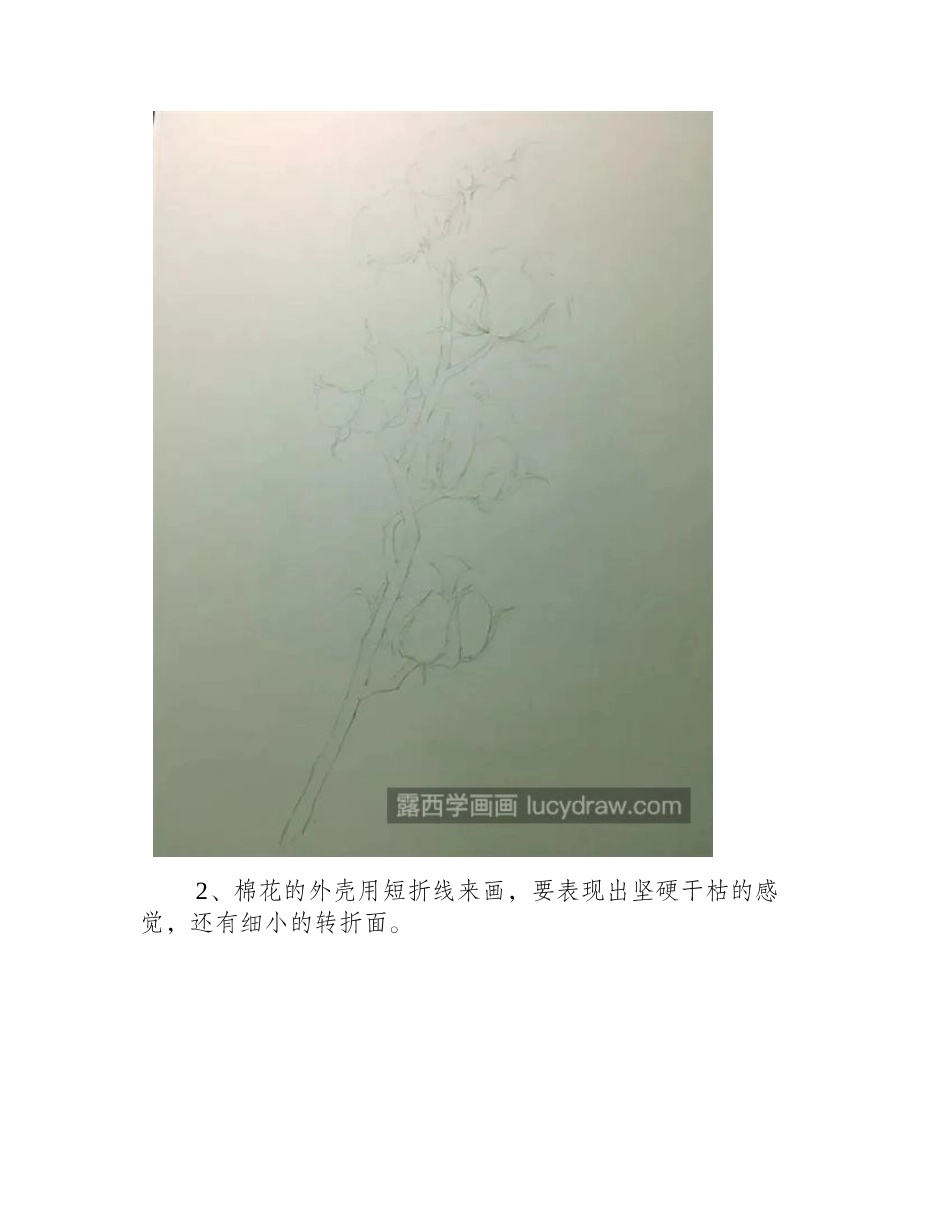 棉花怎么画_如何画出轻柔的感觉_彩铅画教程_第2页