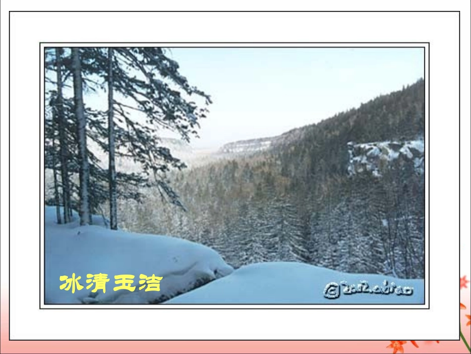 《地下森林断想》参考课件1_第3页