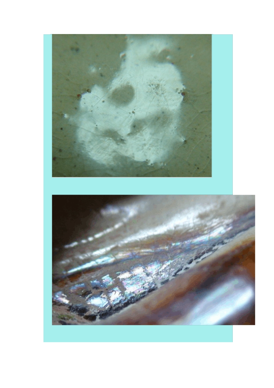 8古瓷上的酥光、宝光、蛤蜊光汇总_第3页