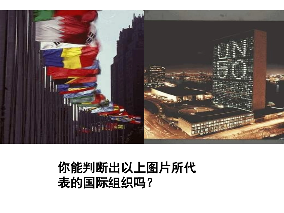 高三政治联合国_第1页