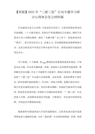 两篇2023年三抓三促行动专题学习研讨心得体会发言材料稿 