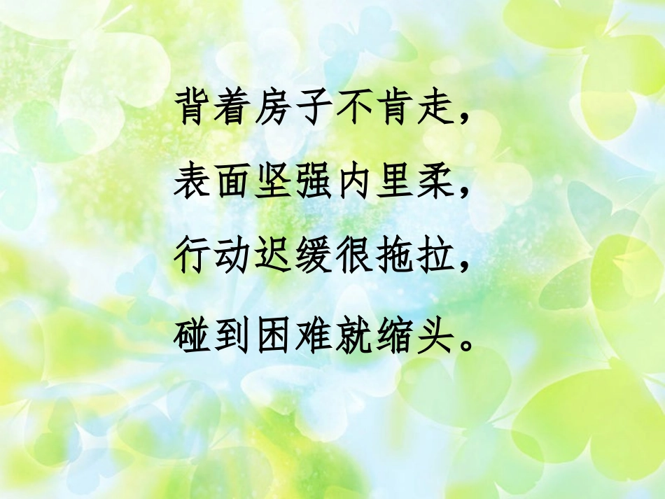 二年级美术课《会变的线条》_第1页