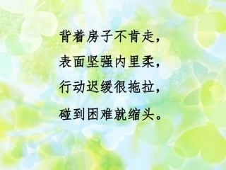二年级美术课《会变的线条》