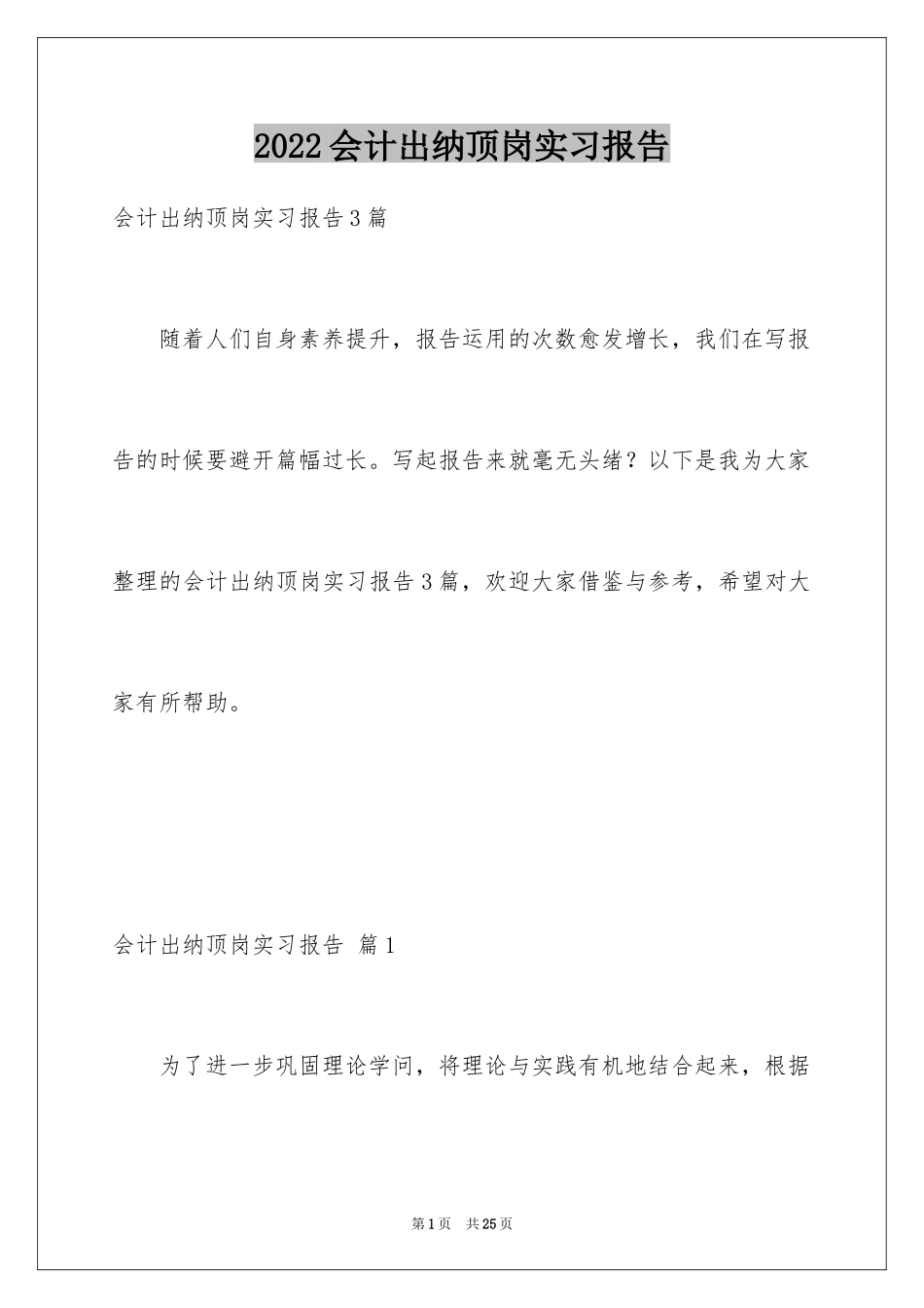 2024会计出纳顶岗实习报告_第1页