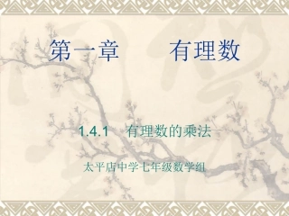 有理数的乘法课件