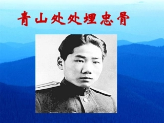《青山处处埋忠骨》课件 (2)