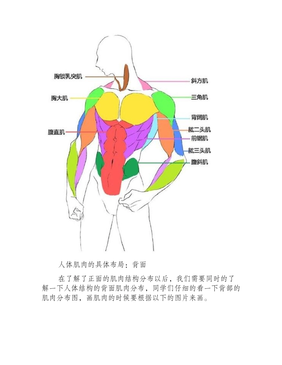 漫画教程：人体肌肉结构素材讲解具体画法分析漫画教程1_第2页