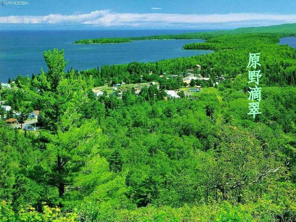 喂——出来1_第2页