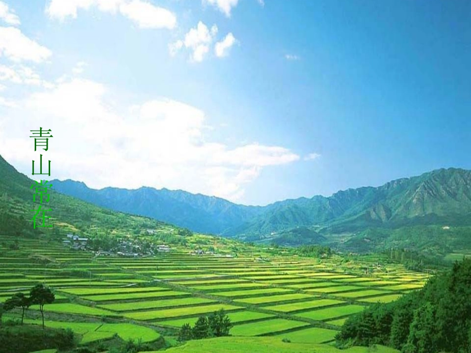 喂——出来1_第3页