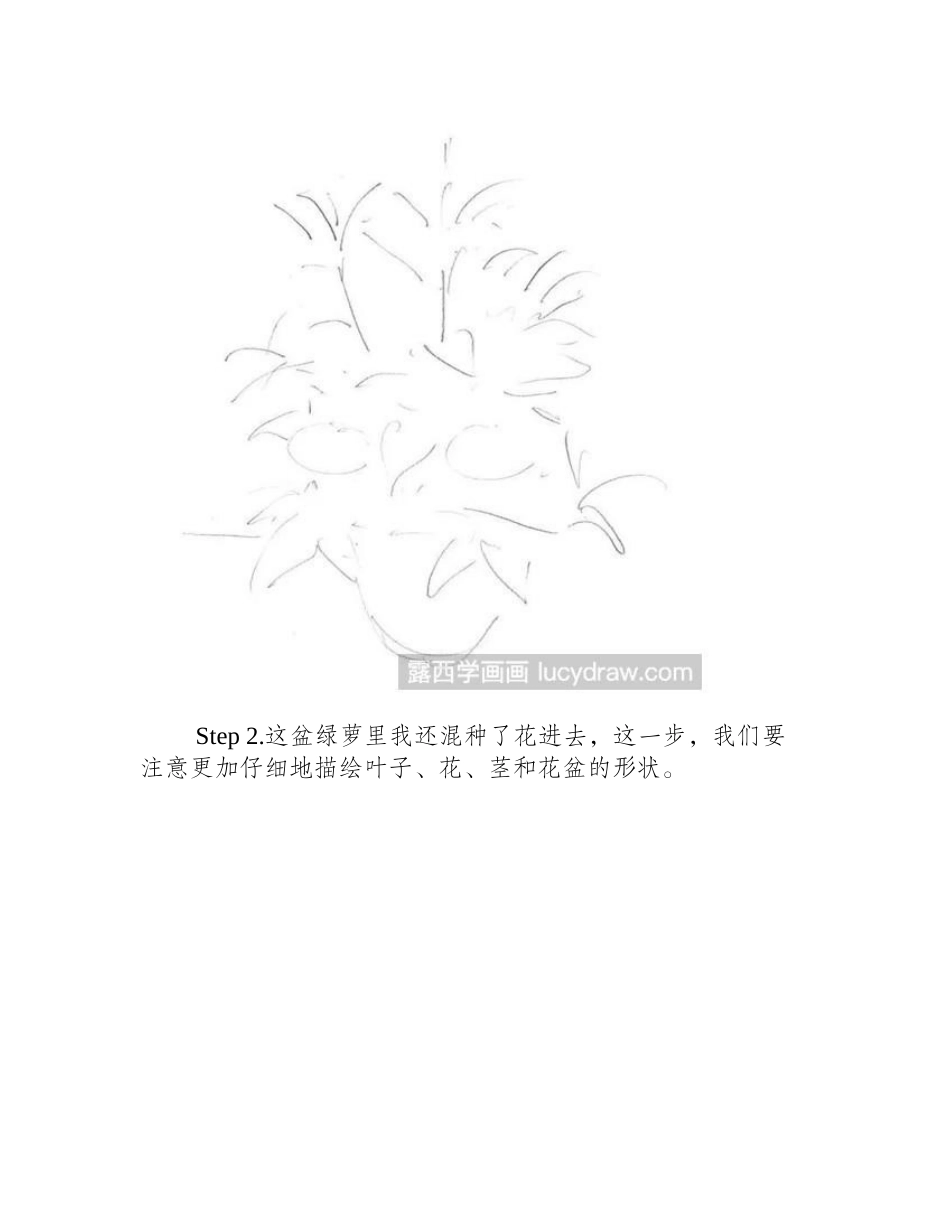 绿萝素描画步骤素描教程1_第2页