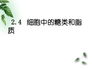 细胞中的糖类和脂质课件人教版必修I